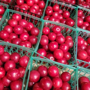 Wild Plum Jam