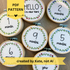 PDF Pattern Bundle created by Kate, not AI. Collection of completed 4-inch wood embroidery hoops with baby milestone text surrounded by simple flower wreaths. Hello, I&