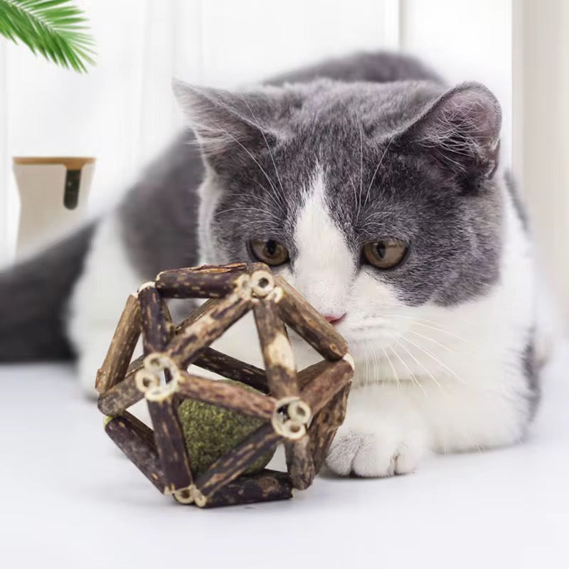 bare Cat Silvervine Ball