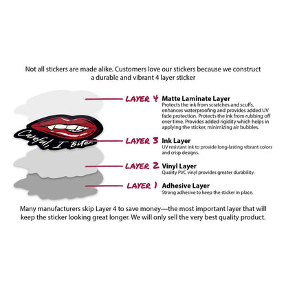 A Little Wicked Decal Pack | Dark Romance Sticker Set of 10