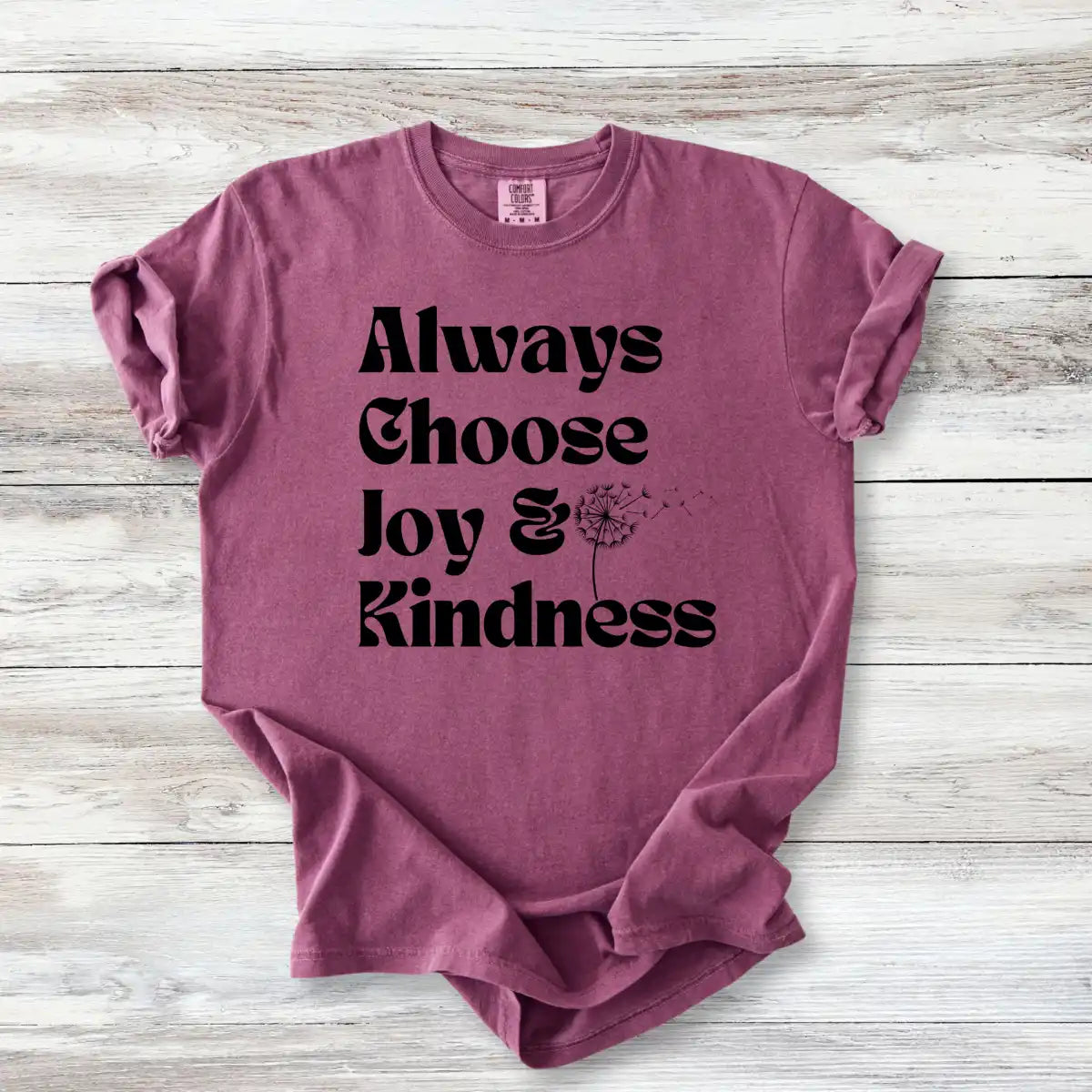 Always Choose Joy &amp; Kindness T-Shirt | Positive Progressive Affirmation Tee