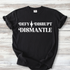 The words DEFY DISRUPT DISMANTLE.  DEFY AND DISRUPT are on the top line with a star between them.  DISMANTLE is the bottom line, lining up vertically with the top line. Lettering is a stylized retro style font.  