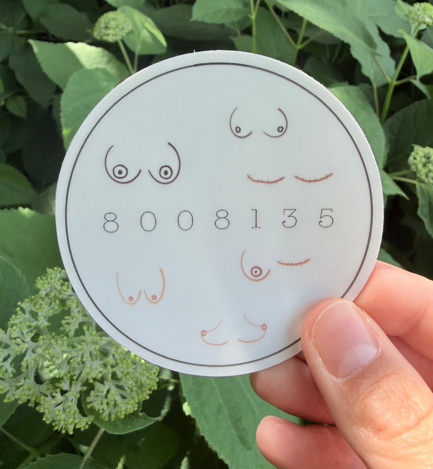 8008135 (boobies) Sticker