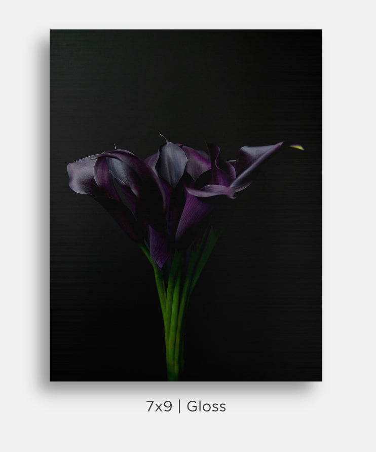 Purple Calla Lily Still Life Mini Metal Print Wall Art