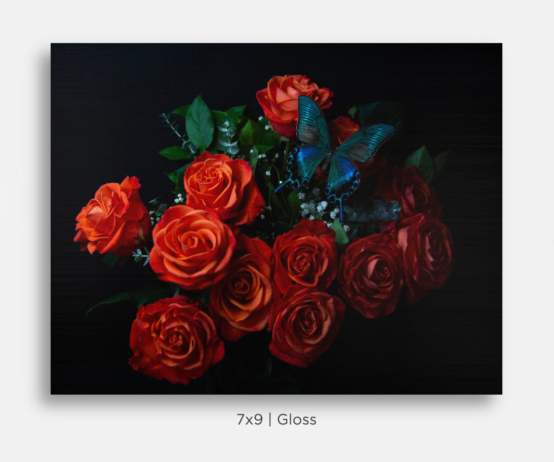 Blue Butterfly on Orange Roses Still Life Mini Metal Print Wall Art