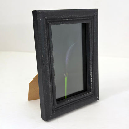 framed print of a dark purple calla lily flower on a black background in a weathered black wood frame
