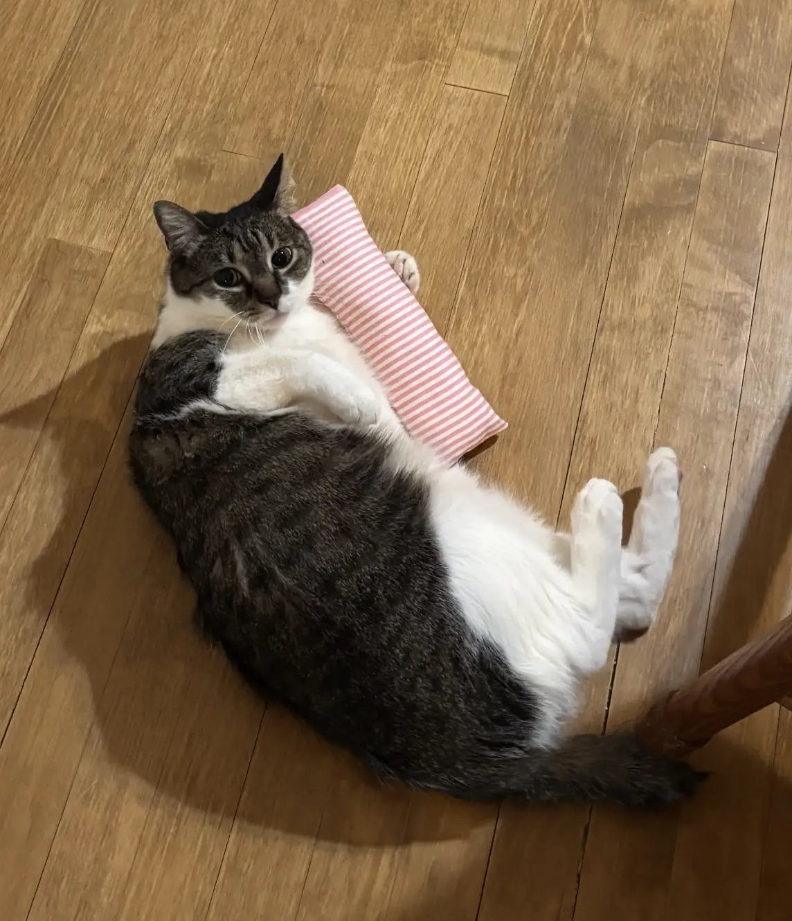 Cat Kicker Toy with Refillable Catnip Pouch