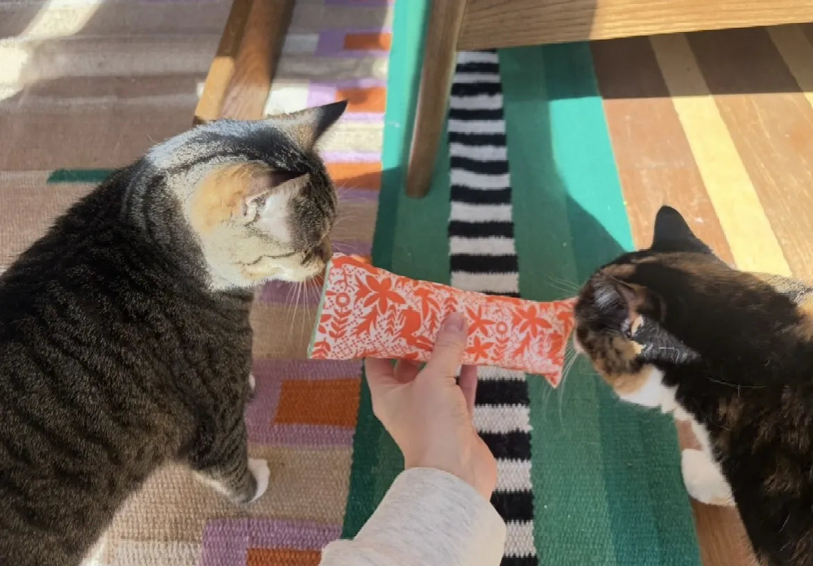 Cat Kicker Toy with Refillable Catnip Pouch