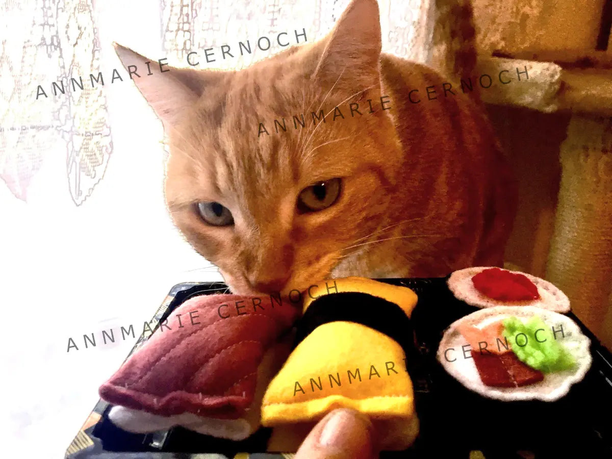 Sushi Cat Toys 6pk (Cali/Spicy Rolls)