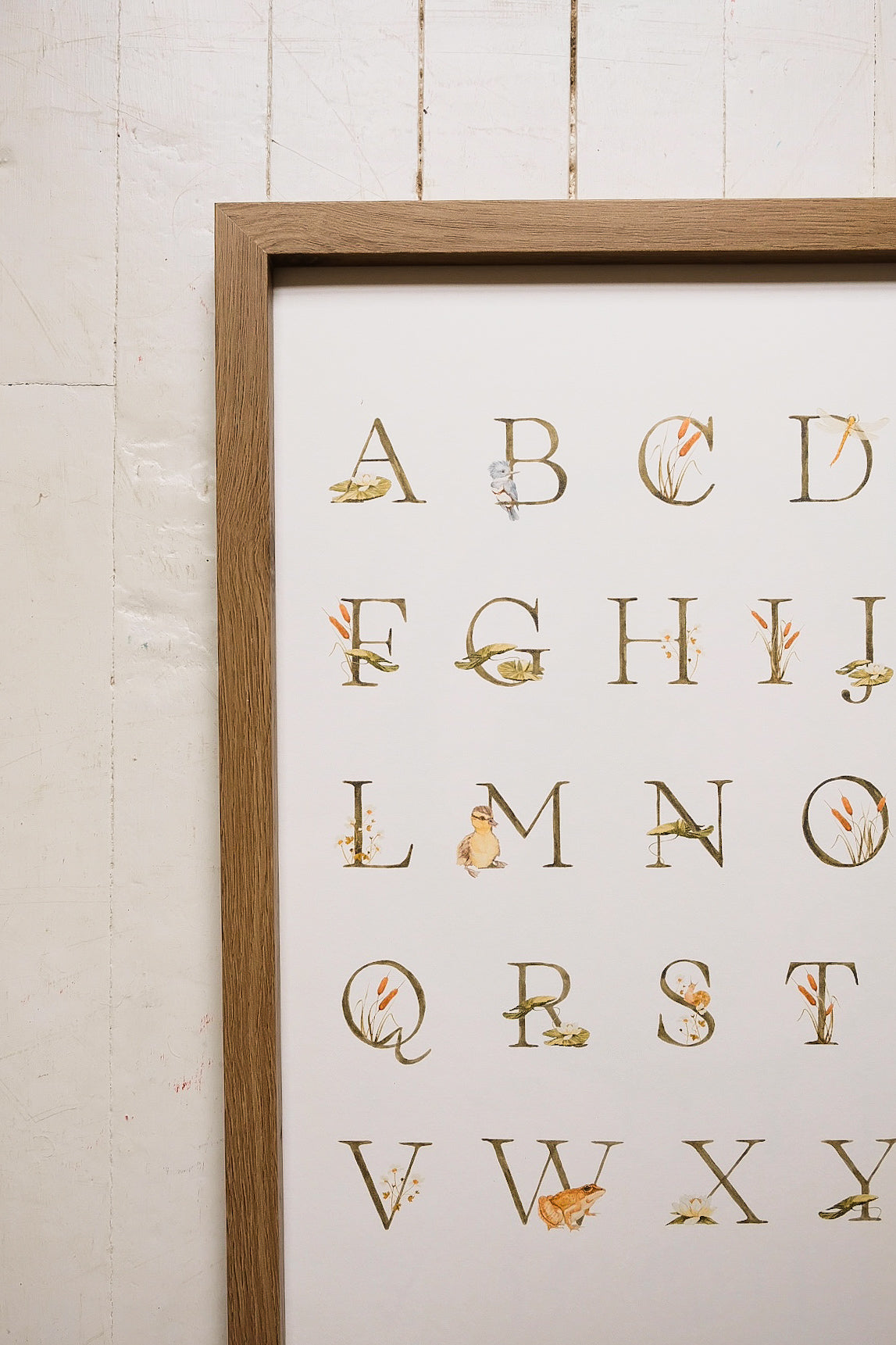Pond Alphabet