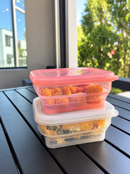 BYOB (Bring Your Own Box) | Collapsible Reusable To-Go Container | 2-pack