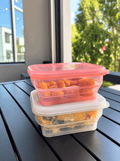 BYOB (Bring Your Own Box) | Collapsible Reusable To-Go Container | 2-pack