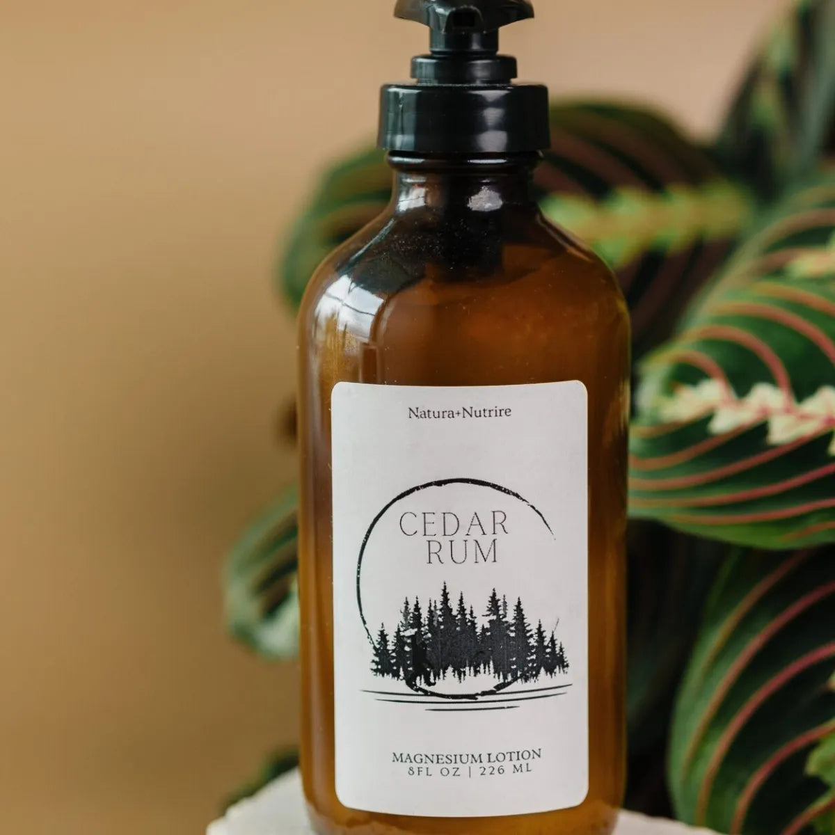 Cedar Rum Magnesium Lotion | Nourish &amp;amp; Relax Your Skin