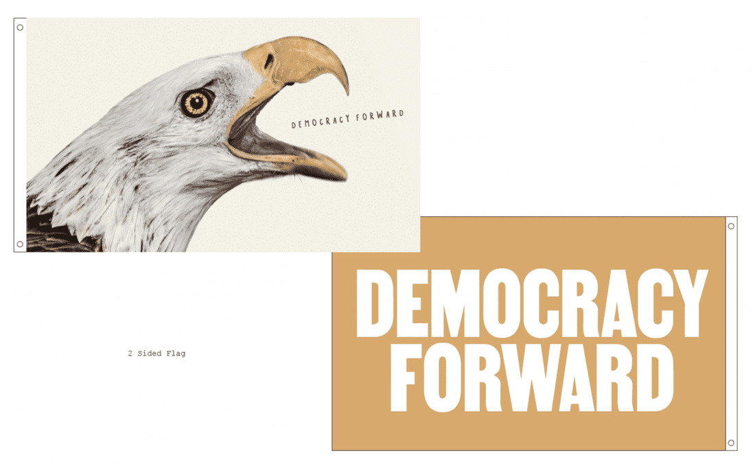 Democracy Forward + BS Records 5&