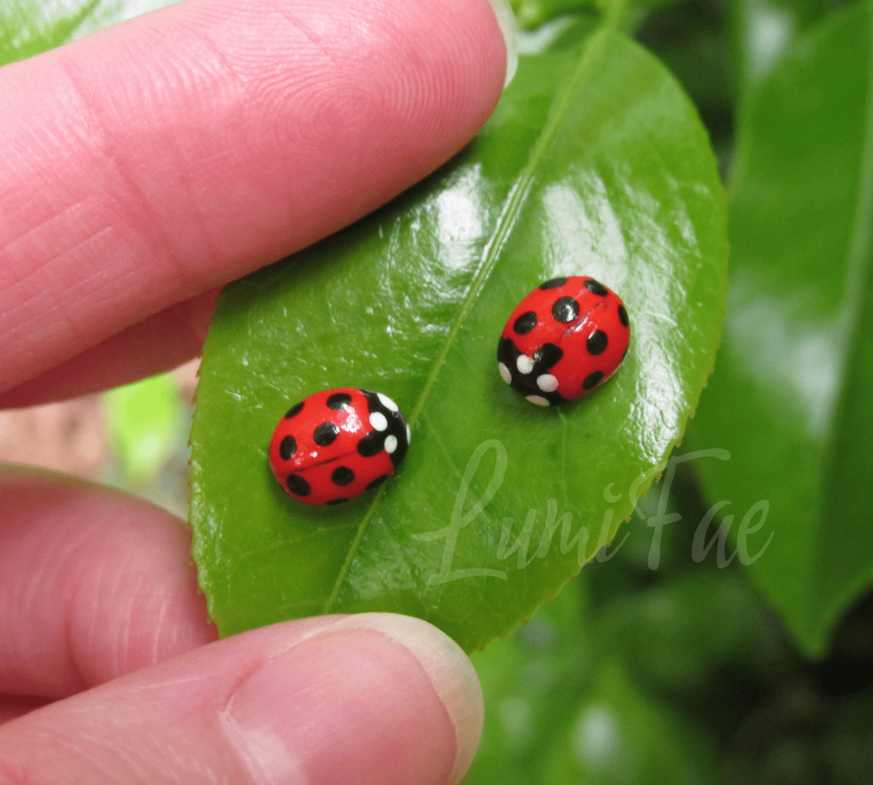 Realistic Ladybug Earrings: Hypoallergenic Studs, Polymer Clay, Handmade - LumiFae