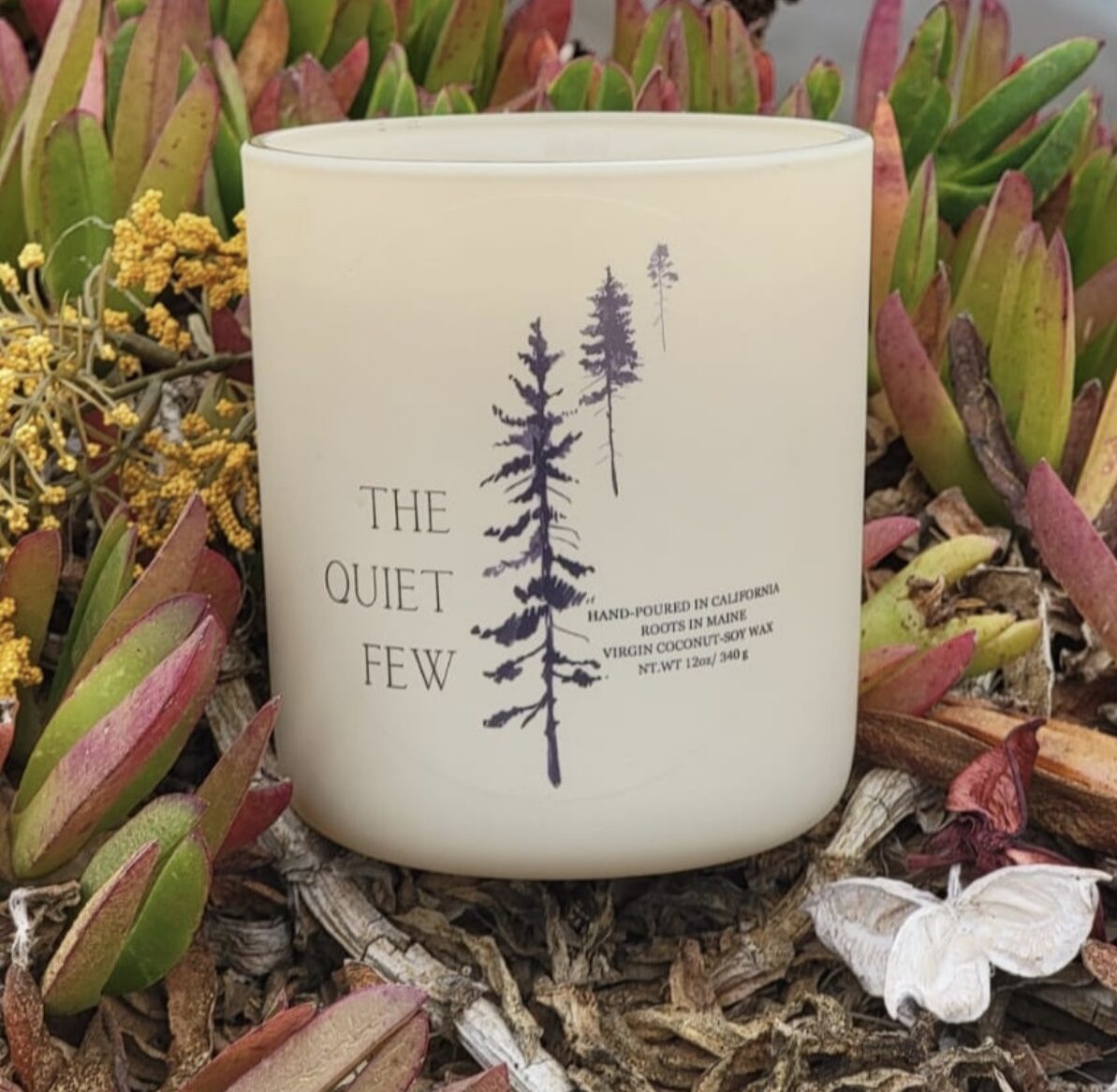 The Ambivert-Cedar &amp;amp; Oak Moss