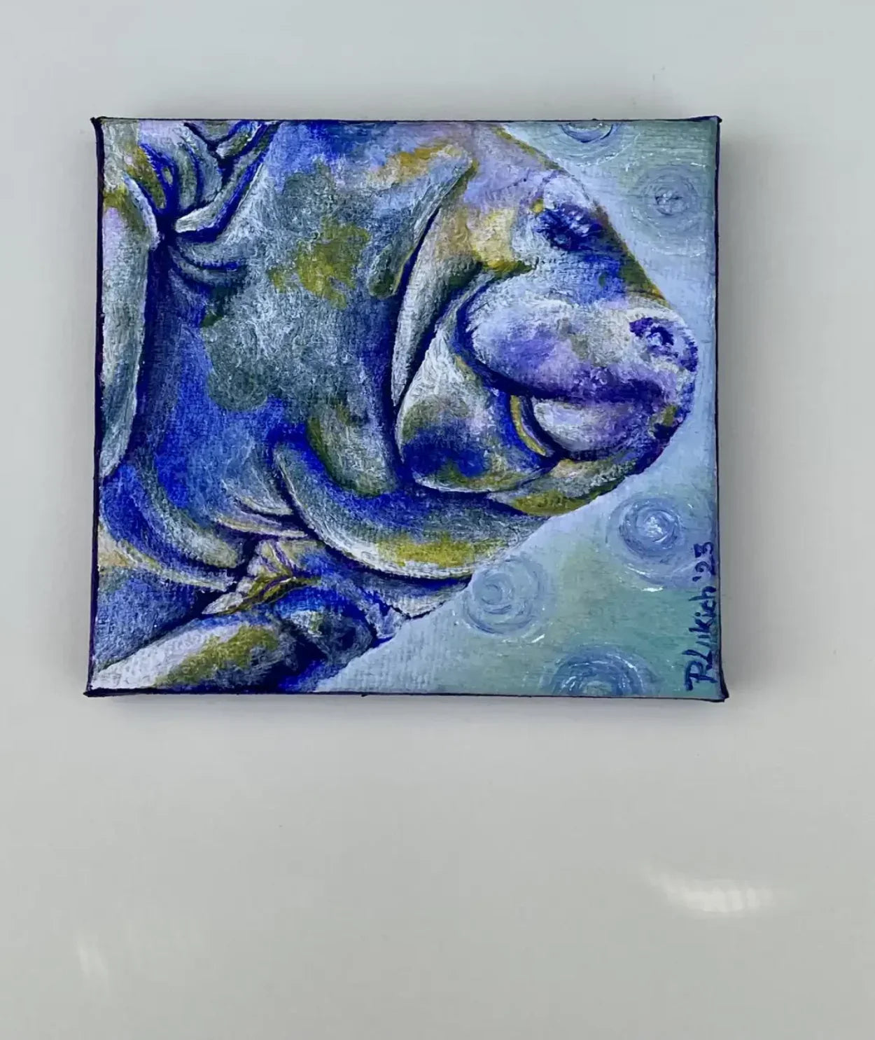 Mini-Manatee in Mulberry