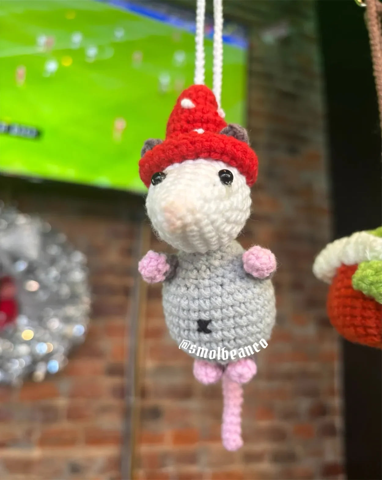 Possum Wizard Crochet Hanger