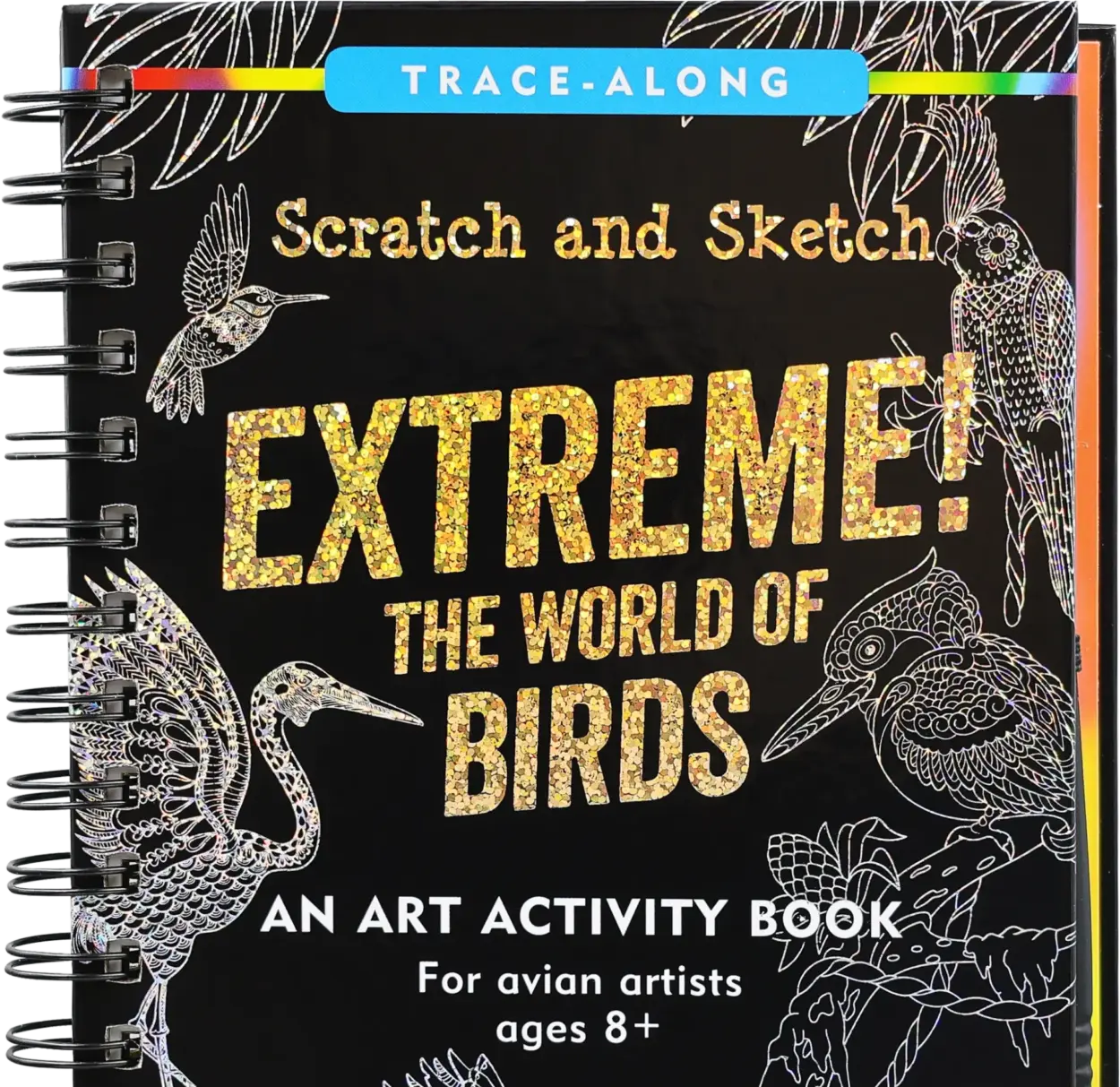 Extreme! The World of Birds Scratch and Sketch