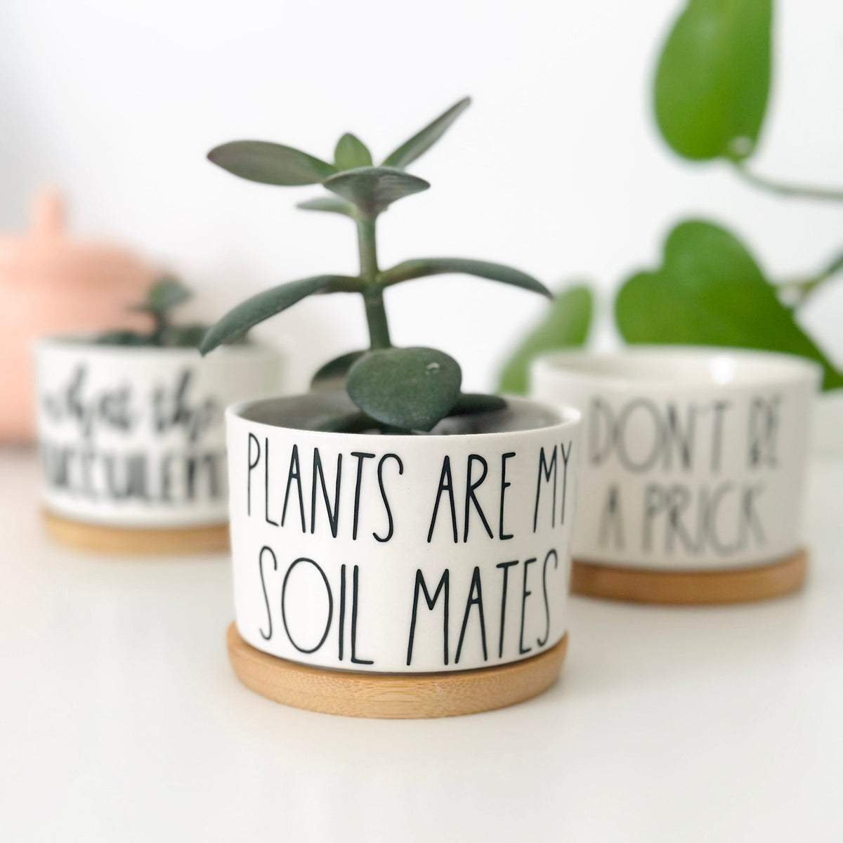 Funny, Cute and Sarcastic Mini Planters, Indoor Succulent Planters