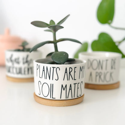 Funny, Cute and Sarcastic Mini Planters, Indoor Succulent Planters