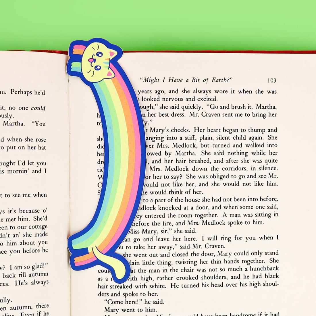 Colorful rainbow-shaped cat bookmark on an open book with a green background