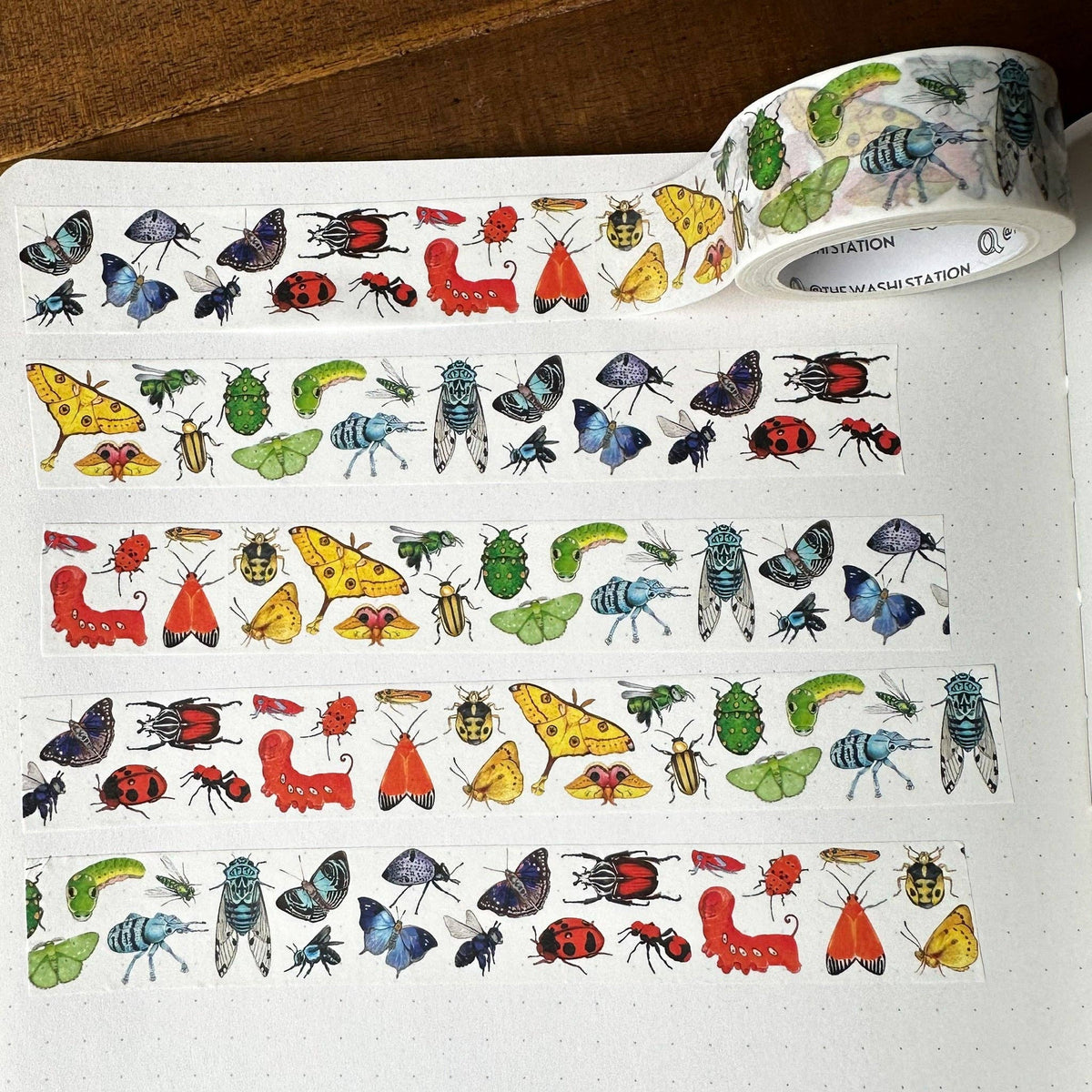 Rainbow Insects Washi Tape