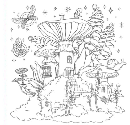 Enchanted Kingdom Adult coloring book