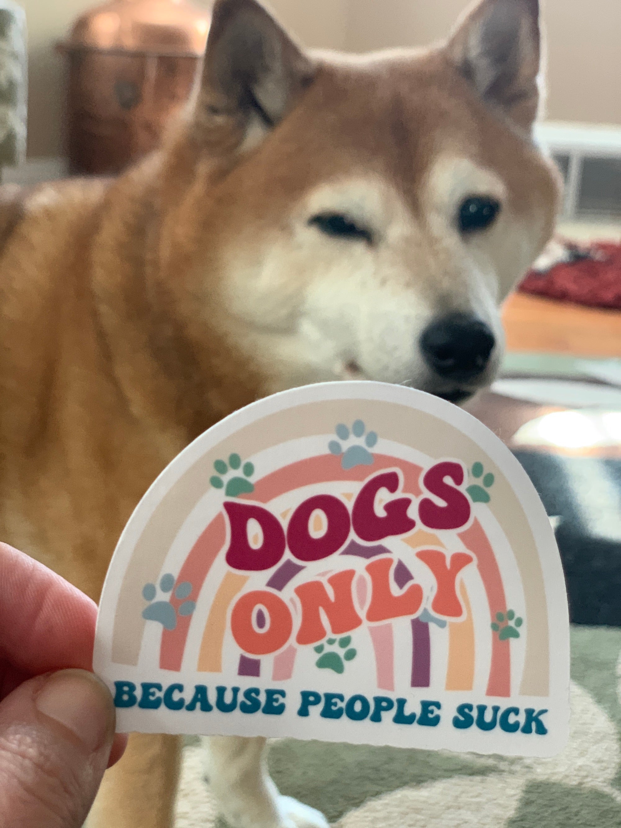 Anti-Inspiration Boho Rainbow Stickers
