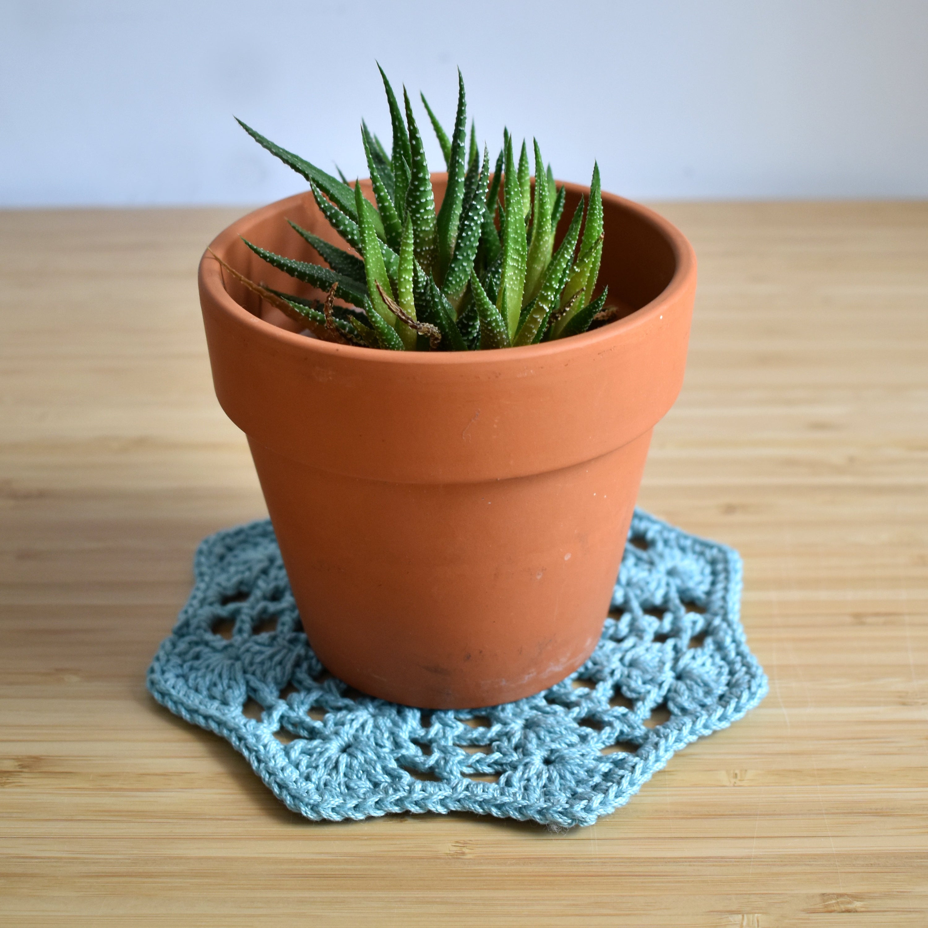 Blooming Lace Doilies