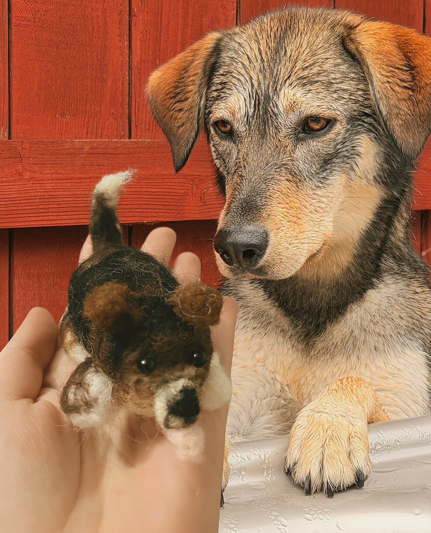 Personalize Needle Felted Pet
