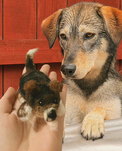 Personalize Needle Felted Pet
