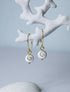 Close up of white shiva eye shell and gold drop earrings hanging on a white coral branch.