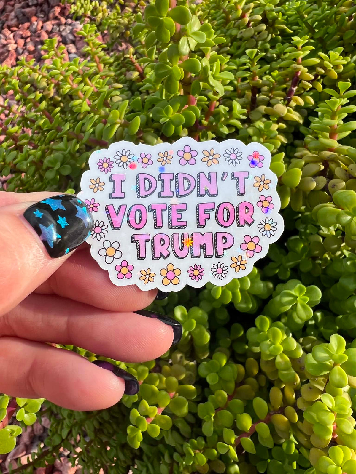 Anti-Trump Sticker Bundle | Political Protest Sticker Pack | 7 Surprise Stickers or Full 14 Piece Resistance Set