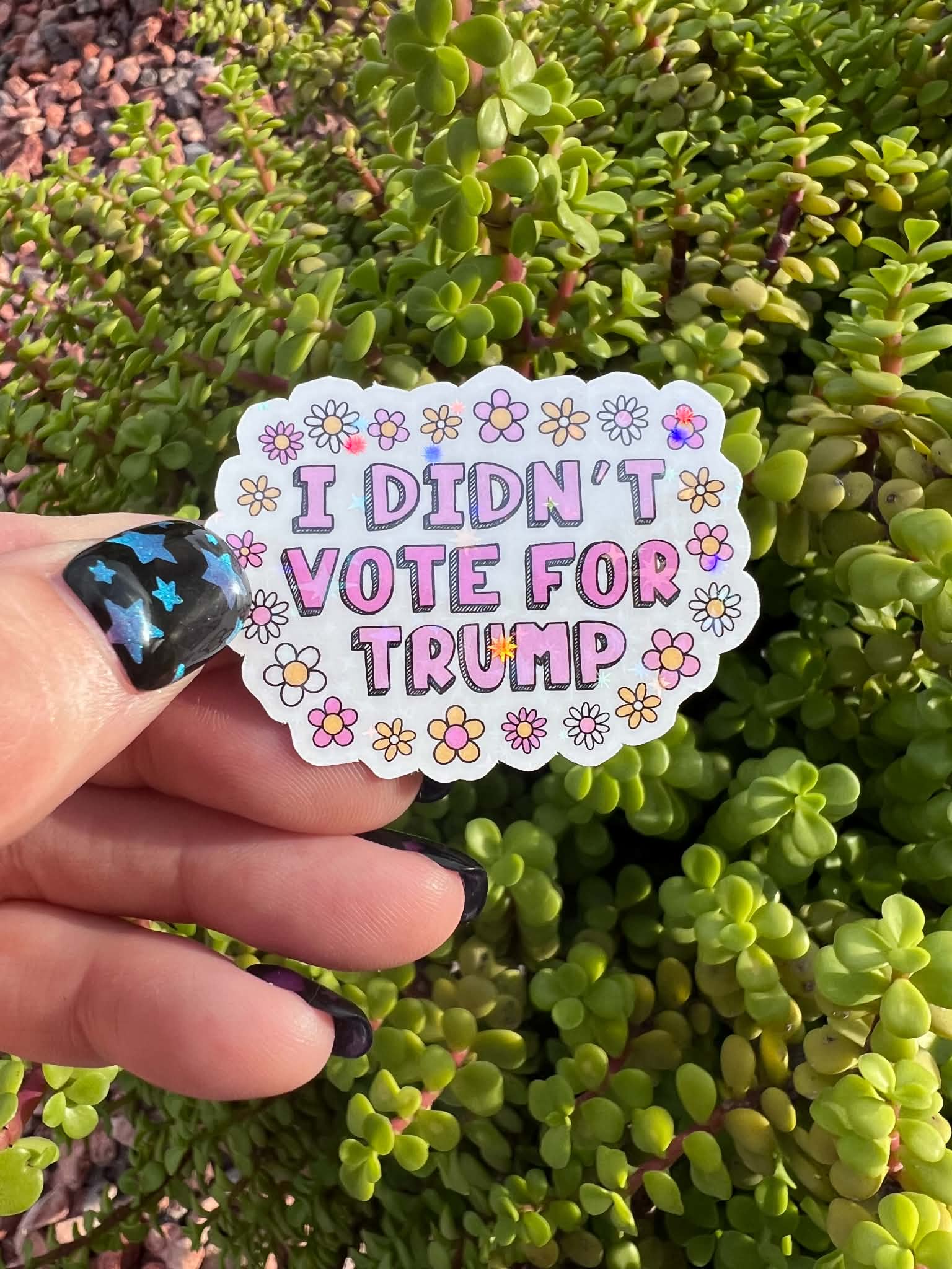 Anti-Trump Sticker Bundle | Political Protest Sticker Pack | 7 Surprise Stickers or Full 14 Piece Resistance Set