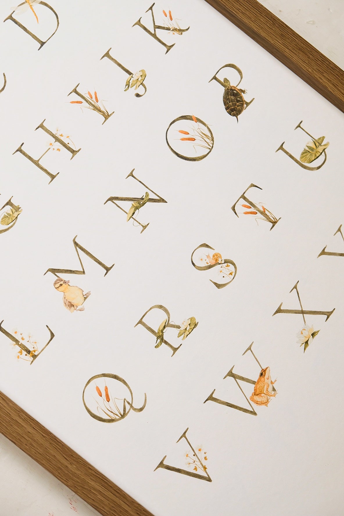 Pond Alphabet