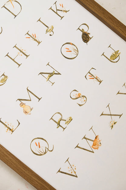 Pond Alphabet