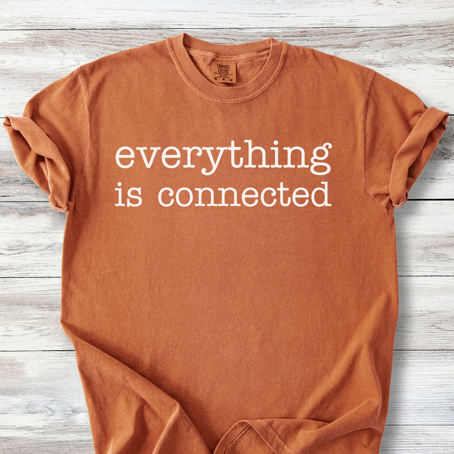 Everything Is Connected Shirt, Solidarity Tee, Community Over Everything