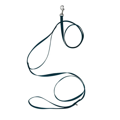 Dog Leash for Extra Small Dogs - Standard or Reflective