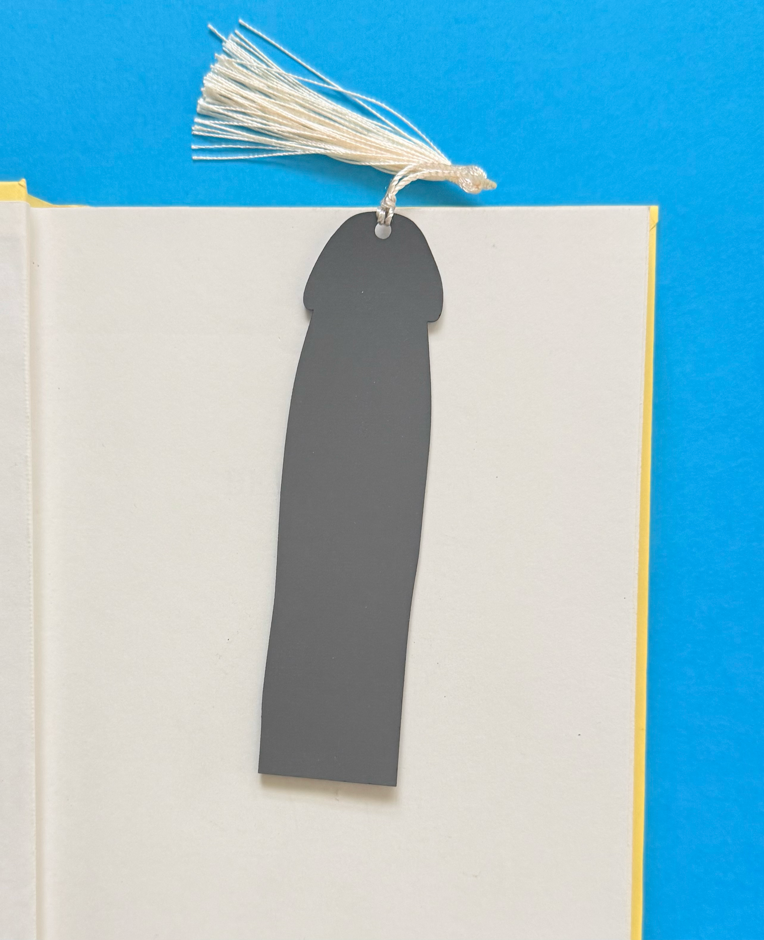 Gray bookmark with tassel on a white book against a blue background