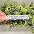 A Man Was Speaking, So I Stopped Listening Sticker