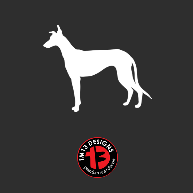 Greyhound.png