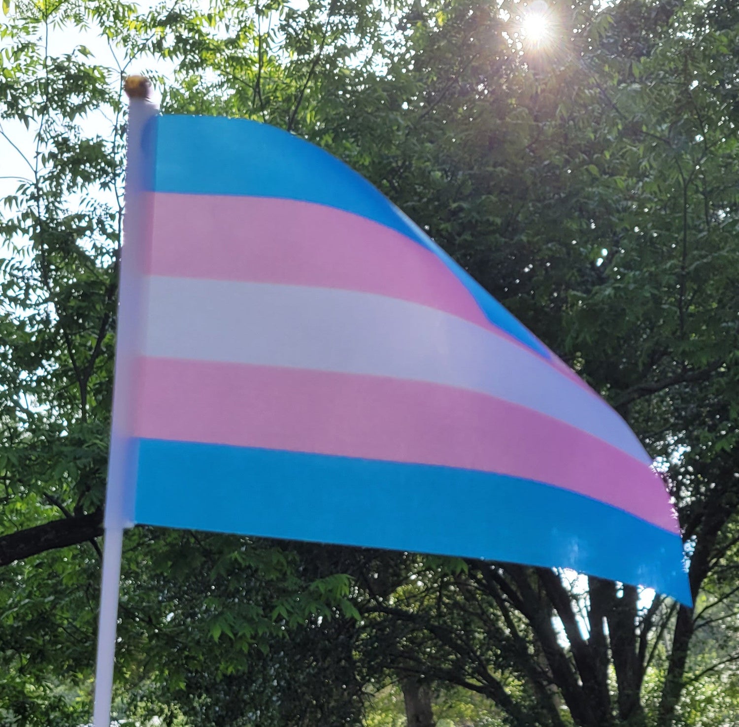 Trans.jpg
