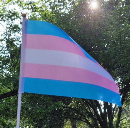 Trans.jpg