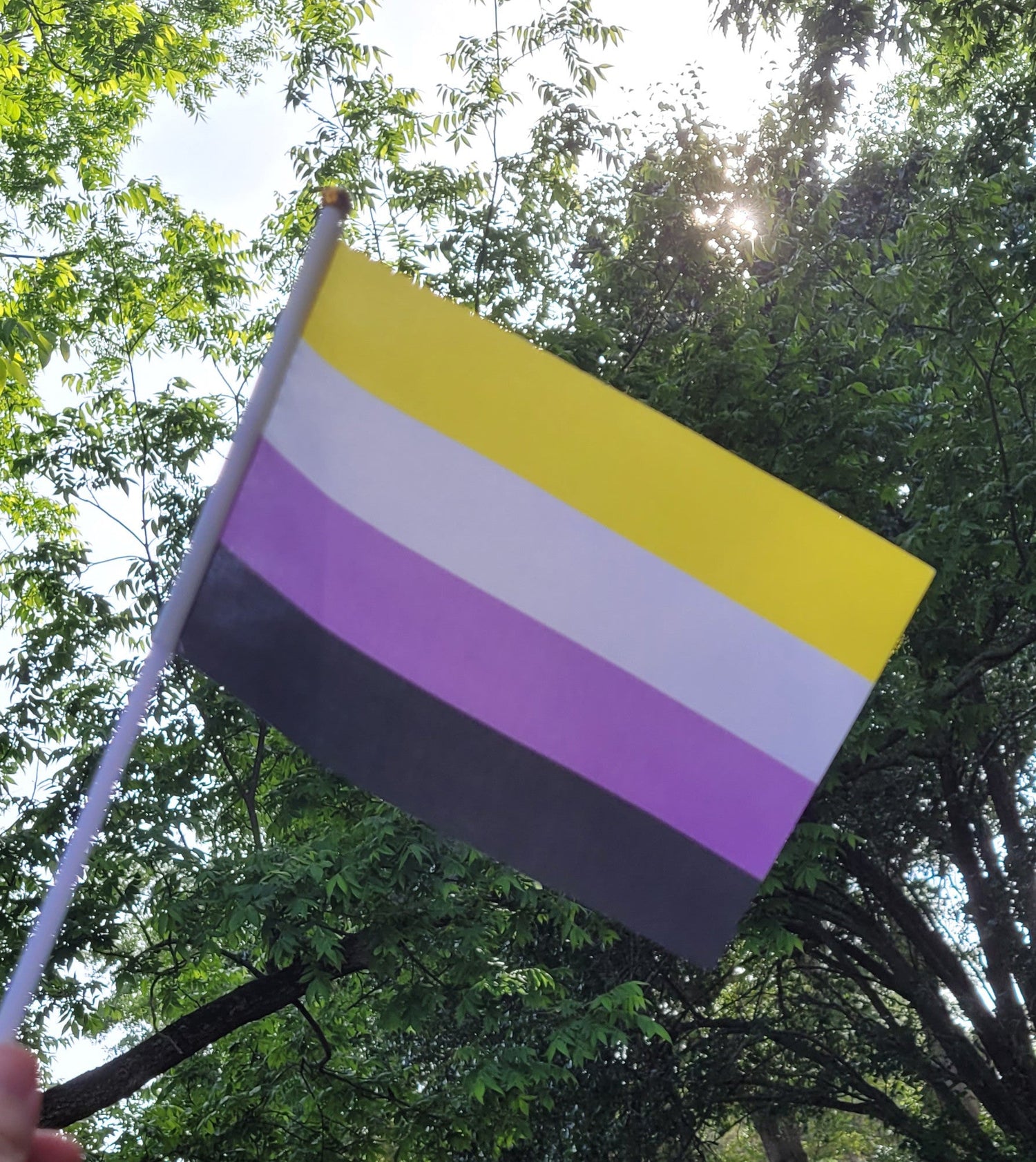 Enby.jpg