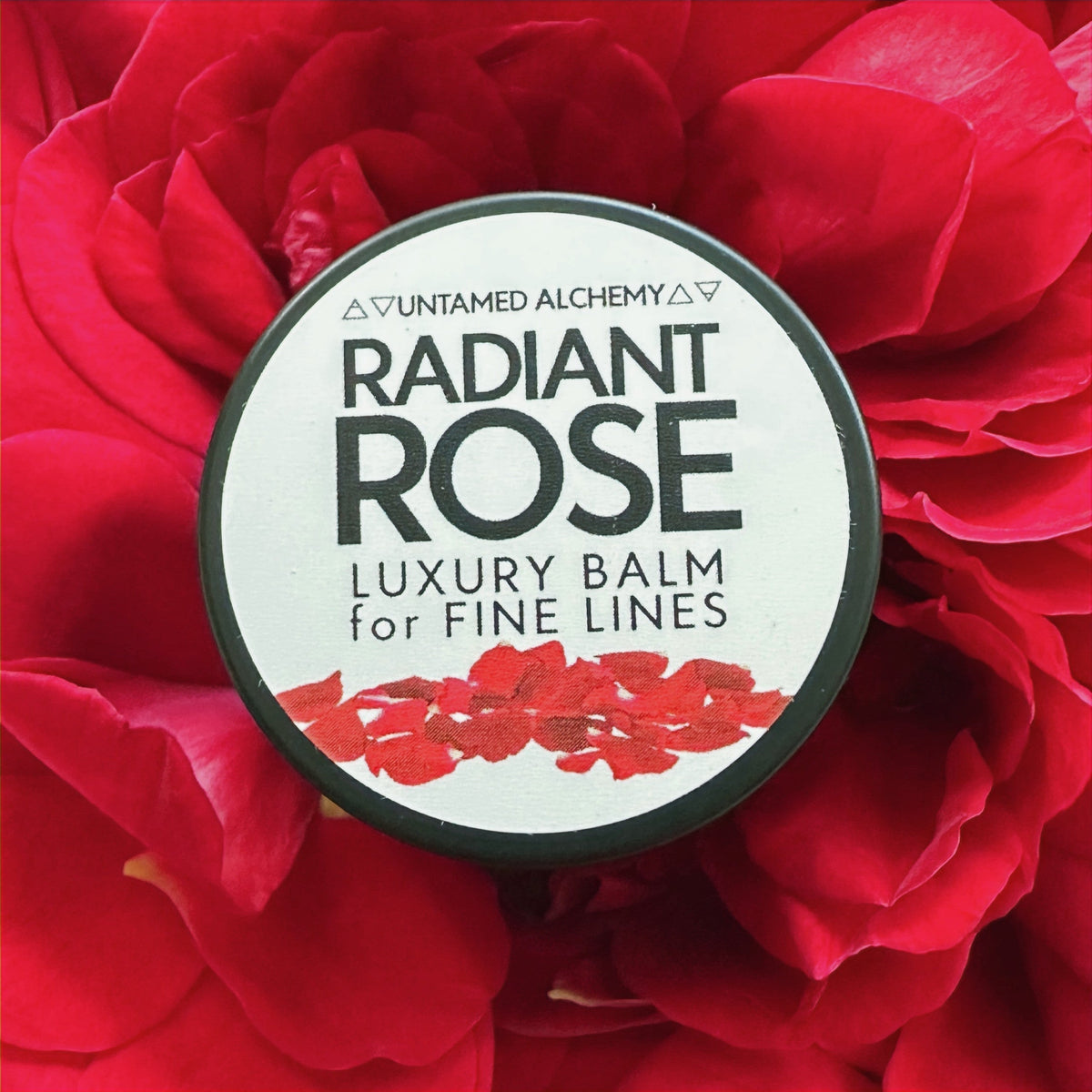 Radiant Rose 2026_edited_edited.jpg