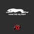 Greyhound-RacedIntoMyheart.png