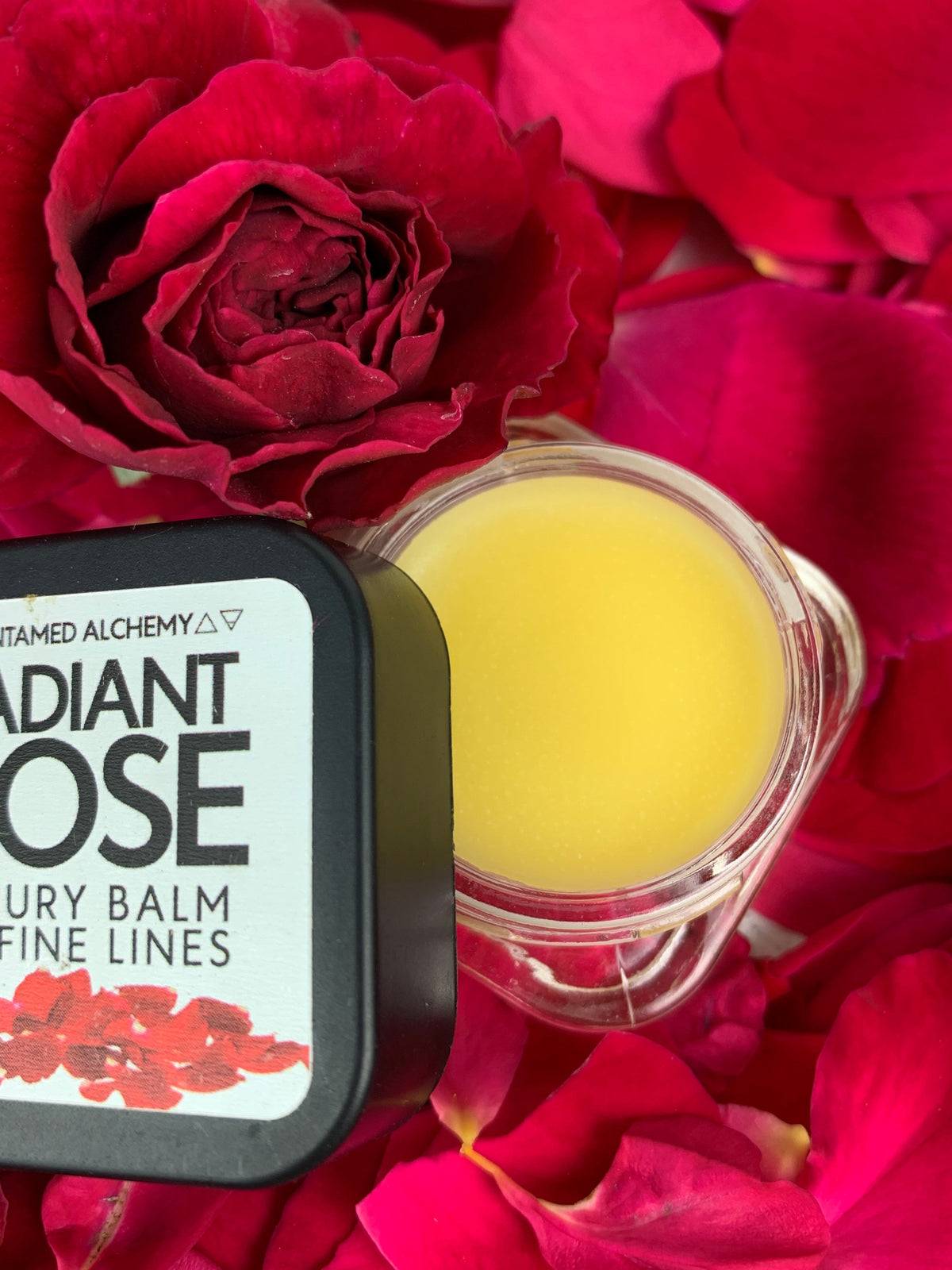 Radiant Rose open.jpeg