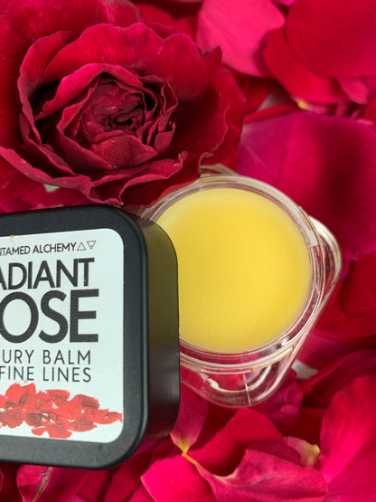 Radiant Rose open.jpeg