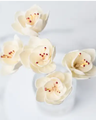 White flower reed diffuser sticks for Fig &amp; Grove reed diffuser bottles
